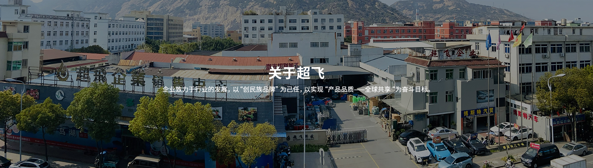 衛(wèi)生級(jí)止回閥，快裝閥門(mén)廠家